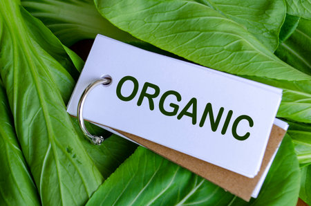 A notepad with a green organic label on plant leaves symbolizing health, eco-friendly lifestyle, and sustainability.の写真素材
