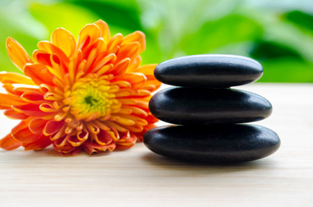 Vivid orange flower beside black stone stack elegant bright mood with customizable space for text.の写真素材