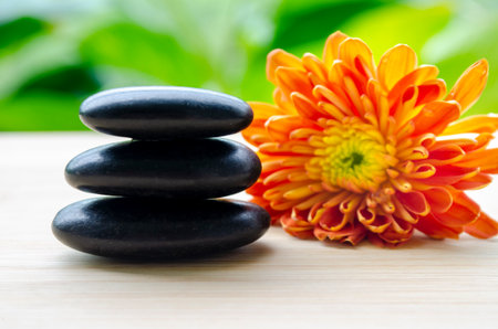 Stones upright next to orange-red bloom peaceful balance concept with customizable space for text.
