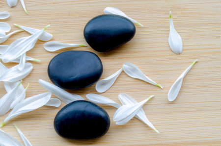 Close up view of fresh white flower next to stacked black stones natural balance with customizable space for text.の写真素材
