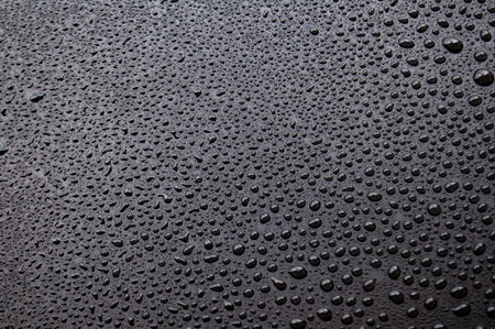 Macro view of dark black variant surface covered with numerous small water droplets