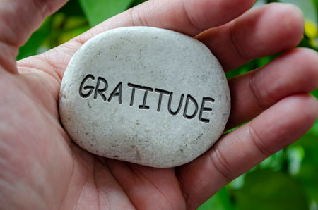 Hand holding a white stone with GRATITUDE text engraved on it, representing life purpose centered on...