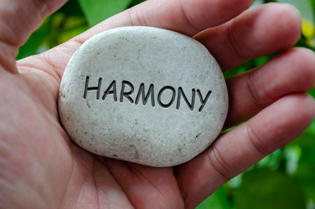 Hand holding a white stone with HARMONY text engraved on it, symbolizing life purpose focused on...