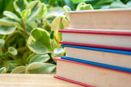 Pile of colorful books on wooden table with leafy background with customizable space for text or ideasの写真素材
