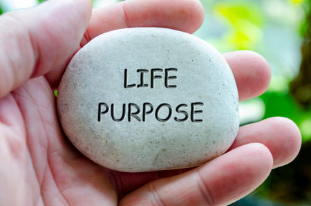Life Purpose text engraved on white stone. Life harmony conceptの写真素材