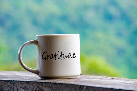 Gratitude text on a mug with nature beauty background.の写真素材