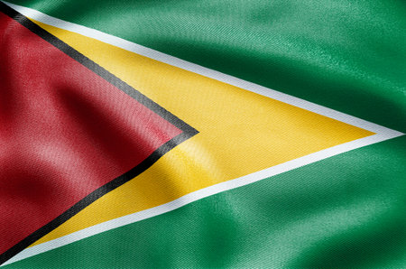 Guyana national flag with green field and golden arrowhead.