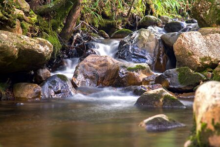 Multiple exposure of a cold stream of water and a pond in a mountain creek. Captured in a forest at...