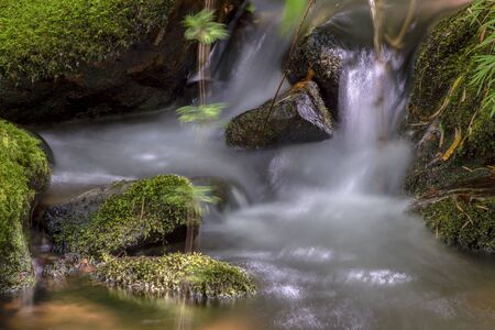 Multiple exposure of different spots of a ravine with rocks covered in moss at the highlands of...