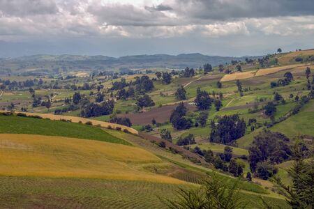 Landscape photography of the farmlands at the central Andean mountains of Colombia.