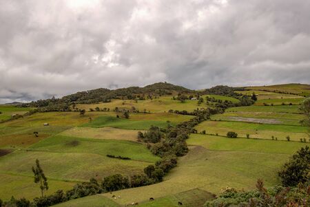 Multiple exposure of farmlands in the high mountains of the central Andes of Colombia in an overcasted day.の写真素材