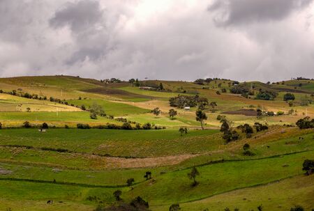 Multiple exposure of farmlands in the high mountains of the central Andes of Colombia in an overcasted day.の写真素材
