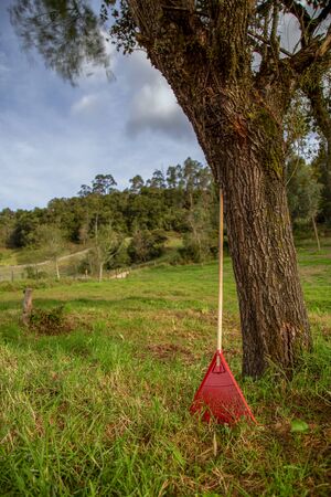 Multiple exposure of an orange garden rake leaning against a tree at a field in the central Andean mountains of Colombia.の写真素材