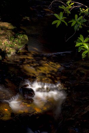 Multiple exposure of the stream of a river in the highlands of the Andean mountains of central Colombia.の写真素材