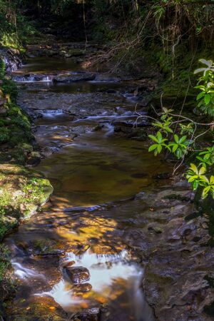 Multiple exposure of the stream of a river in the highlands of the Andean mountains of central Colombia.の写真素材