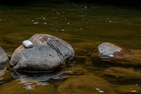 A bar of  white soap rests over a rock in a river at the temperate lands of the Andean mountains of central Colombia.の写真素材