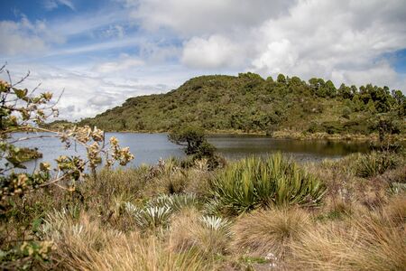 Panoramic view of the Laguna Verde, a natural lake at the Teatinos paramo, in the highlands of the Andean mountains of central Colombia.の写真素材
