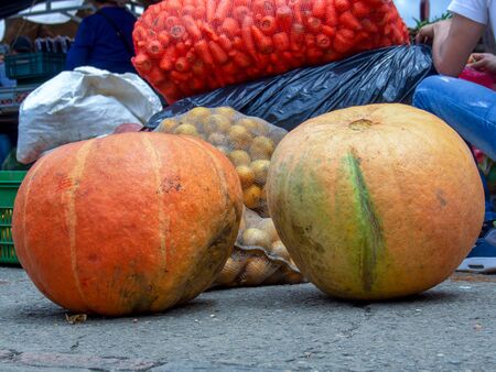Two big pumpkins on the floor of the traditional local market of the colonial town of Villa de Leyva, in the central mountains of the Colombian Andes.の写真素材