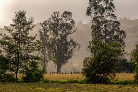 Misty sunset in the central Andean mountains of Colombiaの写真素材