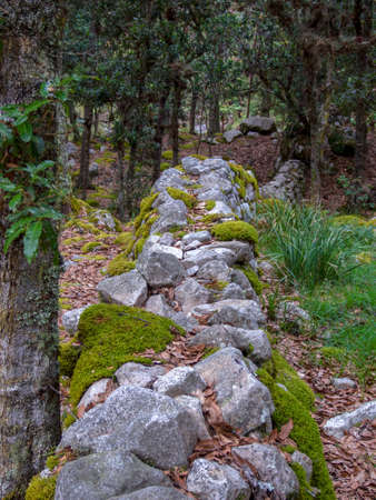 Different sections of a very old stone wall covered in moss, at the hilsidel of the Iguaque mountain in the central Andes of Colombia.の写真素材