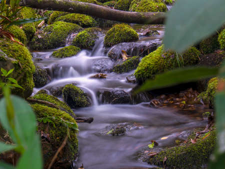 Composite of multiple long-exposure images of the stream of a brook with rocks and logs covered in moss, captured at the hillside of the Iguaque mountain in the central Andes of Colombia.の写真素材