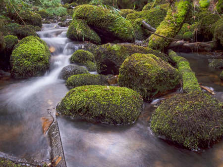 Composite of multiple long-exposure images of the stream of a brook with rocks and logs covered in...