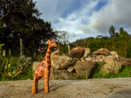Handcrafted wooden animal figurines photographed in natural environments at sunset in a farm house near the colonial town of Villa de Leyva, in Colombia.の写真素材