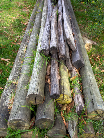 A pile of eucalyptus logs used in construction, left on the grass in a farm near the town of Villa de Leyva in central Colombia.の写真素材