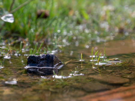 Macro photography of a pebble in a rain puddle, captured in a farm near the town of Villa de Leyva in central Colombia.の写真素材