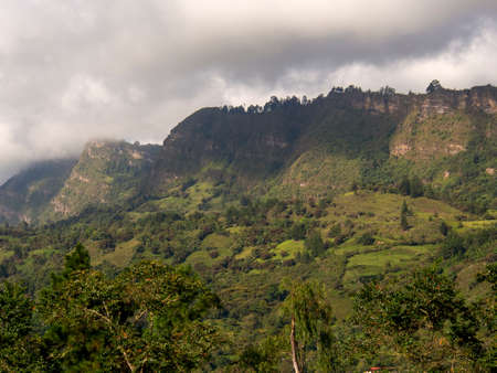 Panoramic view of the Andean mountains and forest near the town of Chinavita in the morning, in central Colombia.の写真素材