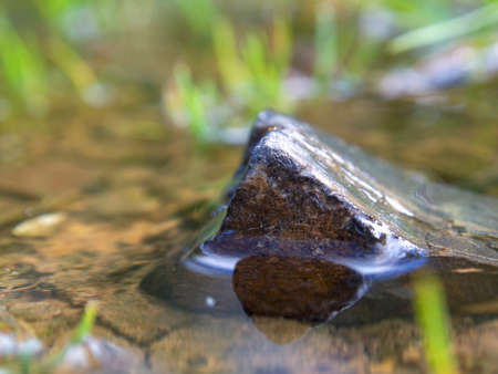 Macro photography of a pebble in a rain puddle, captured in a farm near the town of Villa de Leyva in central Colombia.の写真素材
