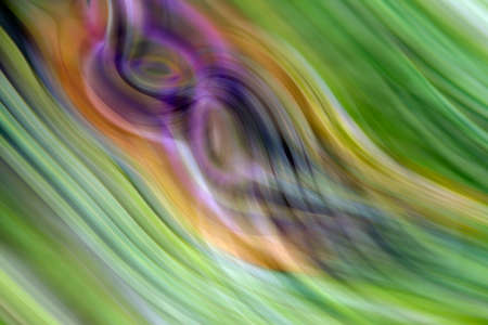 Colorful, unique and original abstract backgrounds created from photographs of natural things and...