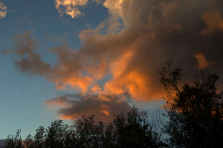 Multiple exposure composite of a dense cumulus cloud with the colors of the afterglow over a forest...