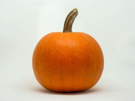 Studio shot of a pumpkin on a neutral backgroundの写真素材