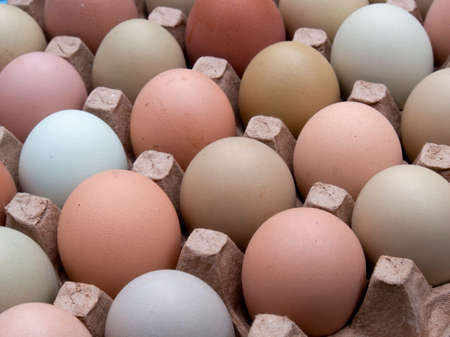 Very close-up photography of some assorted color free-range eggs on a carton tray.の写真素材