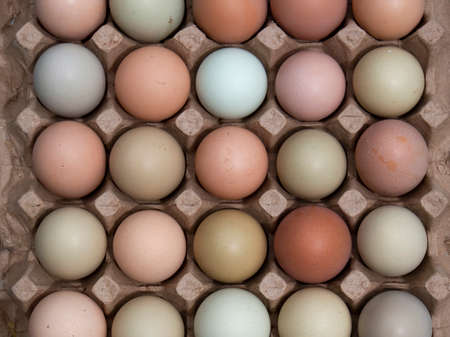 Close-up photography of some assorted color free-range eggs on a carton tray.の写真素材