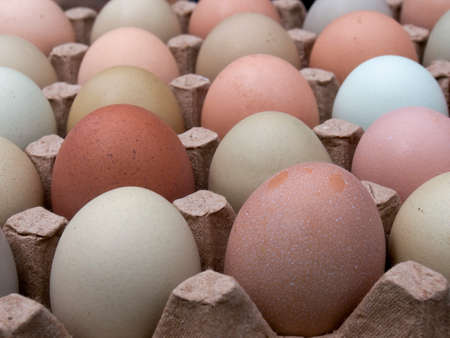Very close-up photography of some assorted color free-range eggs on a carton tray.の写真素材