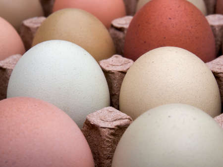 Macro photography of some assorted color free-range eggs on a carton tray.の写真素材