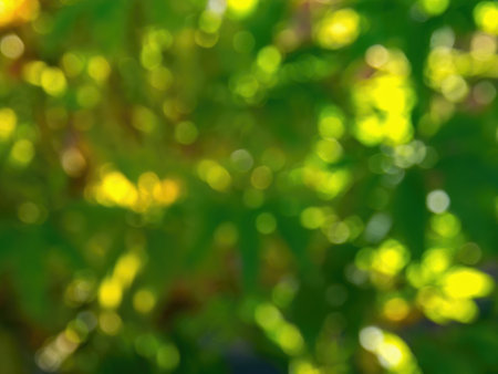 Abstract colorful background from a unfocused photography of natural environments taken in the Andean mountains of central Colombia.の写真素材