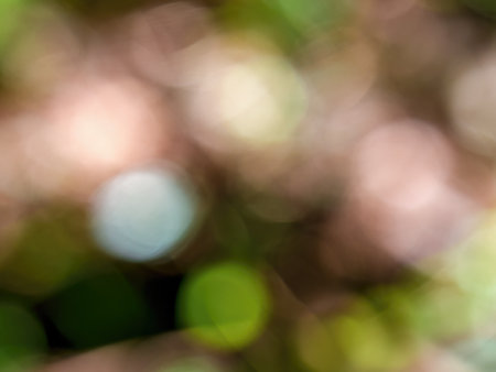 Abstract colorful background from a unfocused photography of natural environments taken in the Andean mountains of central Colombia.の写真素材
