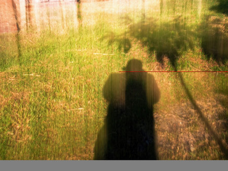 Intentional camera movement of  a human and trees shadows captured in a forest near the colonial...