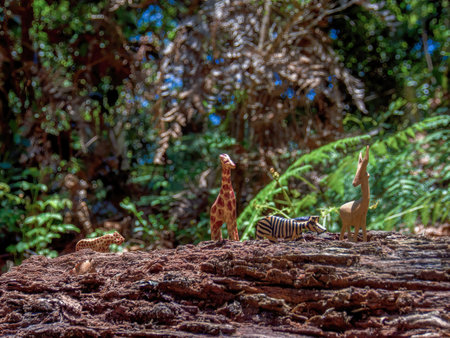 Close-up photography of four handcrafted wooden animal figurines on top of an old trunk in an oak forest near the town of Arcabuco  in central Colombia.の写真素材