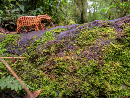 Close-up photography of a handcrafted wooden animal figurine on a moss coverd trunk in a rain forest near the town of Arcabuco  in central Colombia.の写真素材