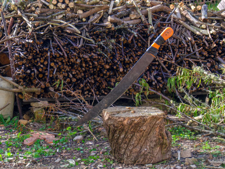 An old a very used machete stuck in a trunk with some firewood in the background, in a farm at the highlands of the eastern Andean mountains of  Colombia.の写真素材