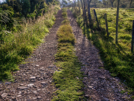 Morning view of a typical rural road made with  gravel and stones,  in the eastern highlands of central Colombia, near the town of Arcabuco.の写真素材