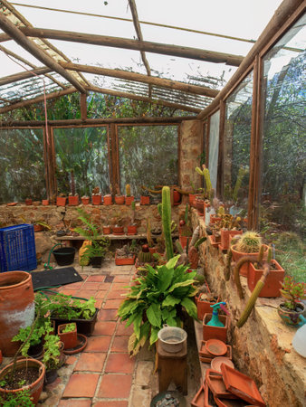 View of a rustic and deteriorated greenhouse with some plants and tools, in a farm near the colonial town of Villa de Leyva in central Colombia.の写真素材