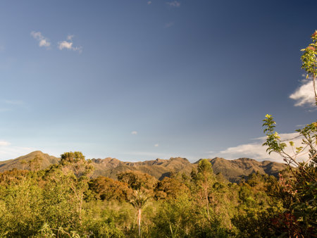 The mountains of the fauna and flora sanctuary of Iguaque, in the eastern Andean mountains of central Colombia, illuminated by the sunset light in an almost clear sky.の写真素材