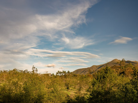 A section of the flora and fauna sanctuary of Iguaque, the forest and farmlands in the eastern Andean mountains of central Colombia, in a peaceful sunset.の写真素材
