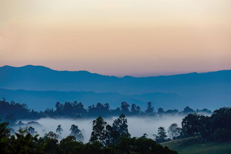 Low fog floating below a mountain forest with a pink sky in the background, before the sunrise, in the eastern Andes of central Colombia.の写真素材