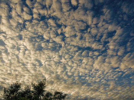 An awesome cotton ball clouds formation at the early  morning, over the farm lands of the eastern Andean mountains of central Colombia.の写真素材